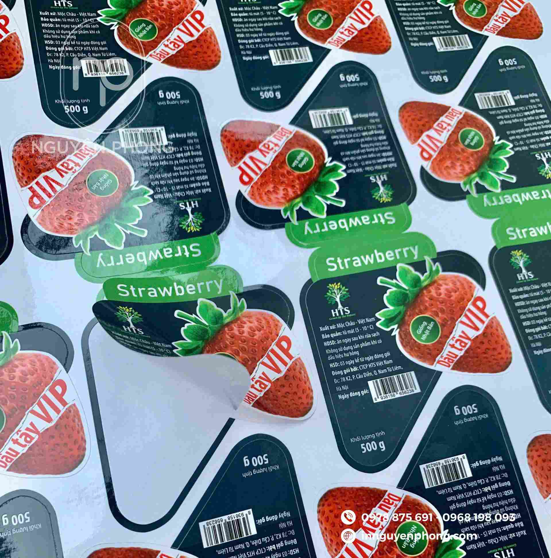 Bảo quản decal đúng cách bảo đảm chất lượng